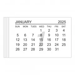 2025 Calendar Tabs